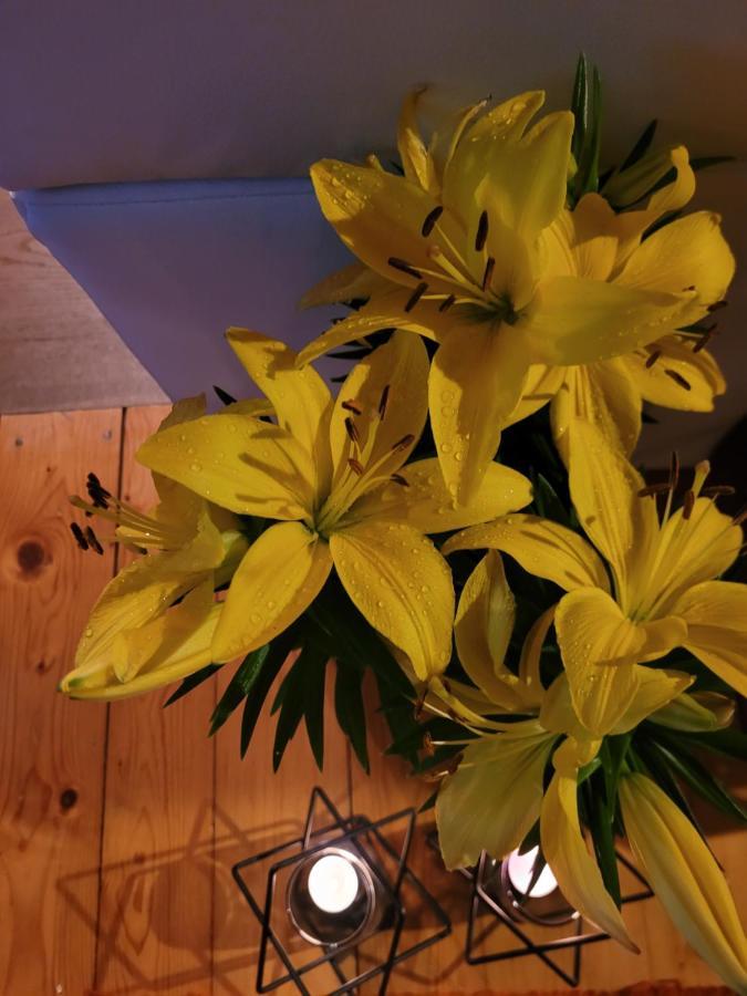 Apartament Lilla Jelenia Góra Buitenkant foto