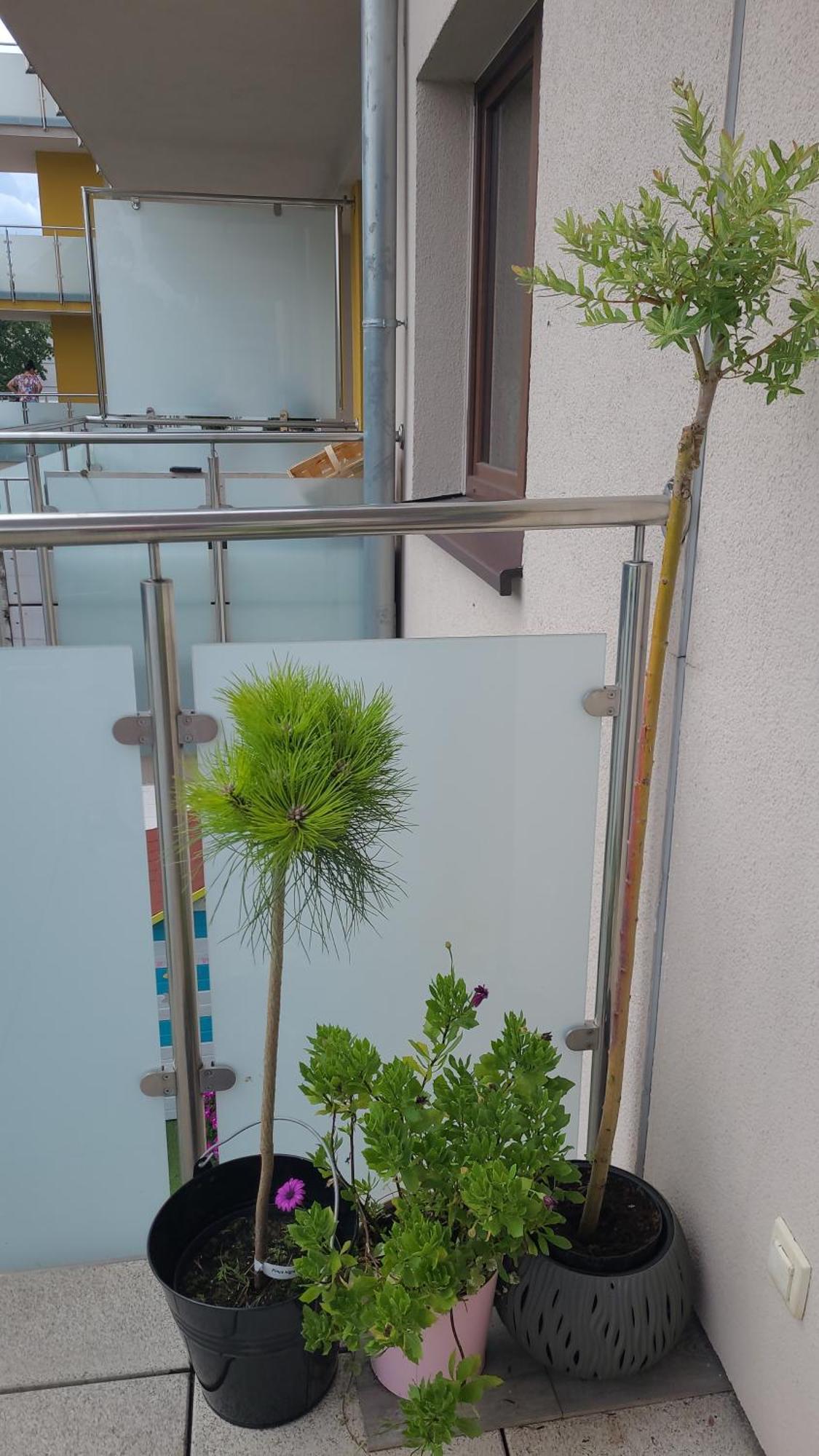 Apartament Lilla Jelenia Góra Buitenkant foto